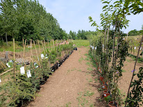 Les 2 Sèves à Saint-Varent