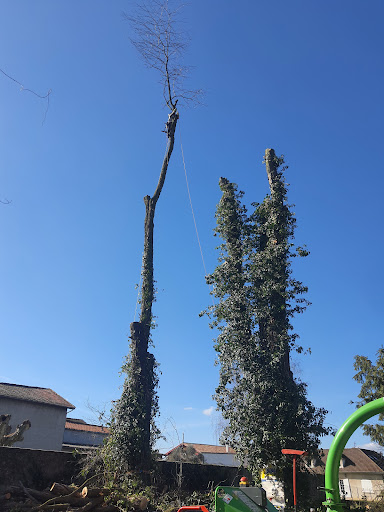Photo de Le Vérandier by TRYBA Pont-Évêque à Pont-Évêque (38780)