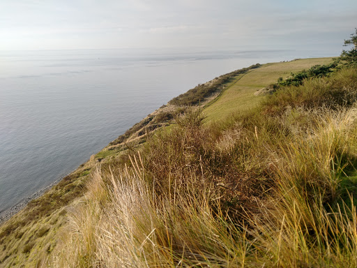 Fort Ebey - Visual