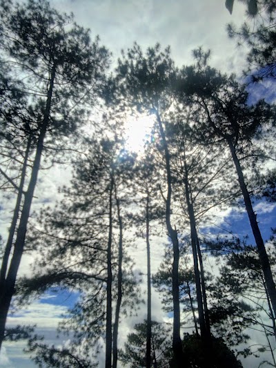 Photos of Gunung Blego