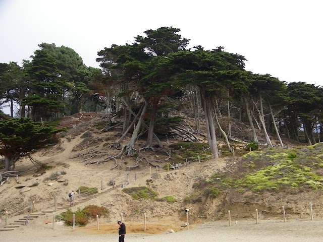 Baker Beach