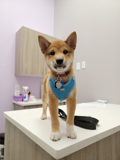 Findlay Creek Animal Hospital