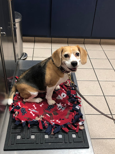 Walnut Creek Animal Clinic - Thumbnail