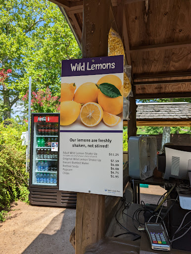 Wild Lemons - Visual