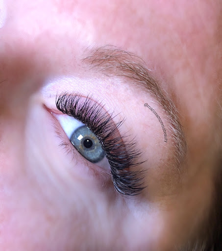 Lash Lab Texas - Visual