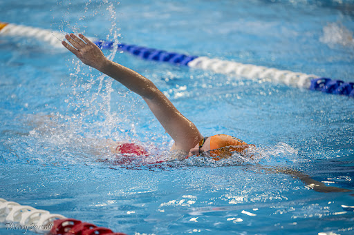Photo de ACBB Natation