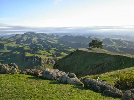 Yottecott NZ Ltd. - New Zealand