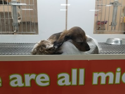 Petland Athens