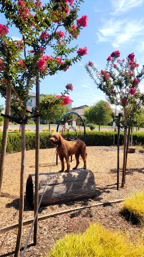 Michael Vega Park - Thumbnail