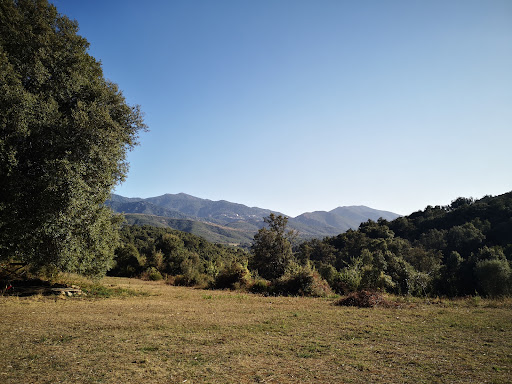 Quarcettu - camp scout