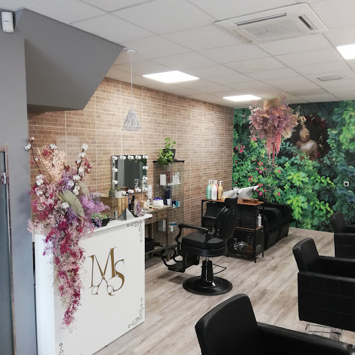 Martin's Salon(by Oscar Martín)