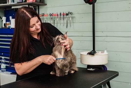 Purrs and Paws - Cat & Dog Grooming