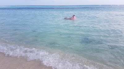 Photos of Baby Beach Aruba Bungalow