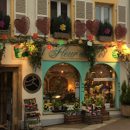 Photo n°1 de A Fleur De Pot à Moulins-lès-Metz (Fleuriste)