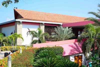 Photos of Royal Decameron Bar&uacute;