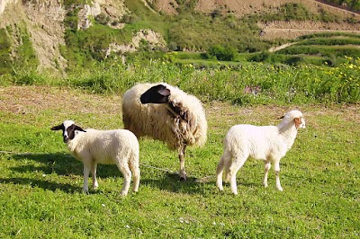 Agriturismo Rudì