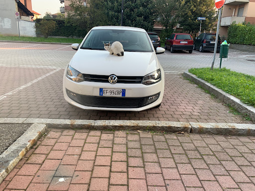 Taxi Melzo NCC - Thumbnail