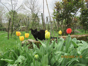 Photo n°27 de Grandguillotte au Castet Bieilh. à Morlanne (Chambre d'hôtes)