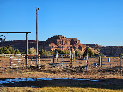 Cowboy Homestead Cabins - Thumbnail