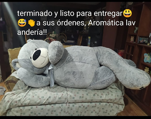 Aromática Lavandería | Lavandería en Chalco Gallery - Mexico