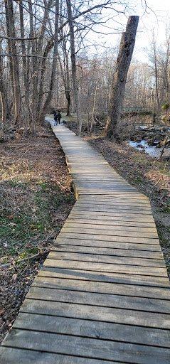 Rittenhouse Park - Visual
