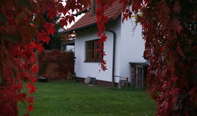 Photos of Ferienhaus Uthausen