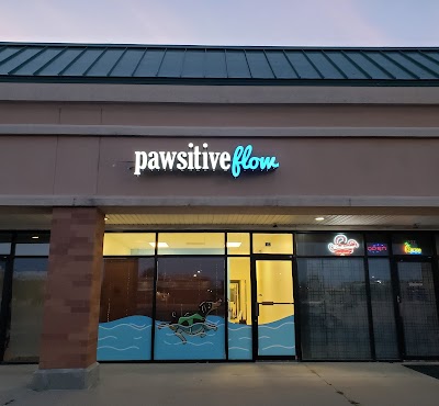 Pawsitive Flow