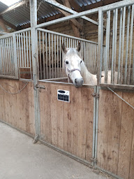 Photo n°12 de Le Petit Haras d'Aven à Pont-Aven (Écurie)