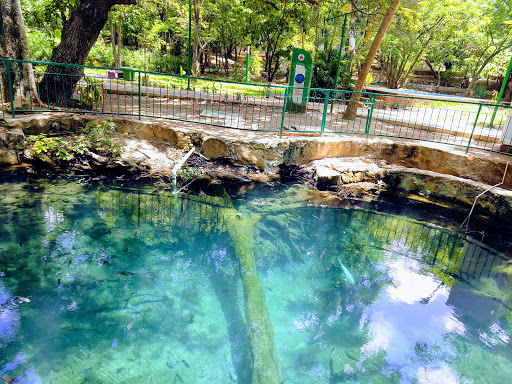 Joyyo Mayu [Tuxtla Gutiérrez] Park Gallery - Mexico