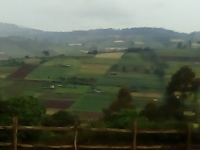 Photos of Sogoo Town