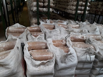 Photos of Kelompok Tani Asa Agro