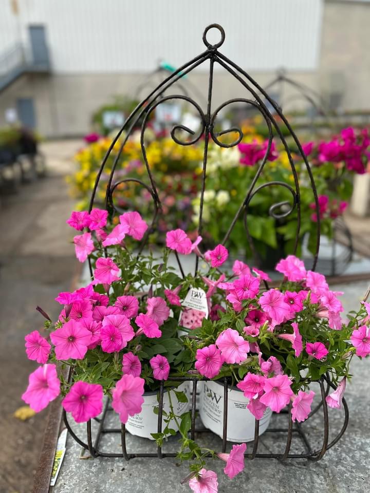 The Flower Field, LLC