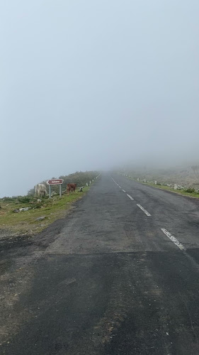Madeira Off Road Tours - Funchal