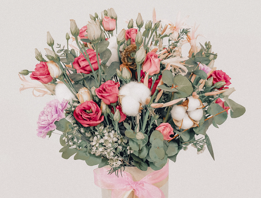 Peachy Box - Visual