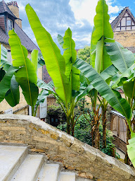 Photo n°6 de Sarlat Catalina à Sarlat-la-Canéda (Agence de location de maisons de vacances)