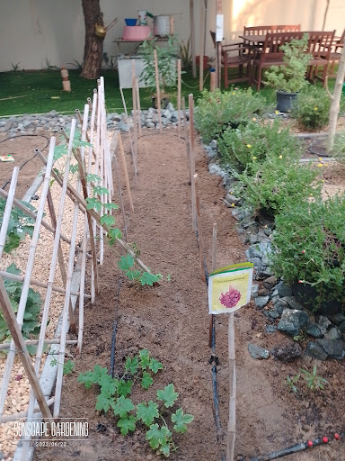 Gallery image 53