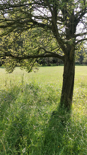 Moortown Golf Club - Thumbnail