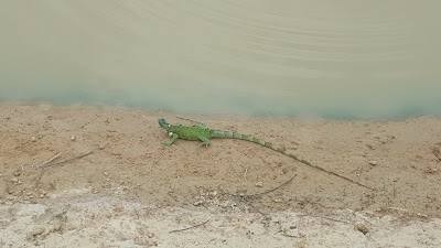 Photos of Campo Cuerva Geopark