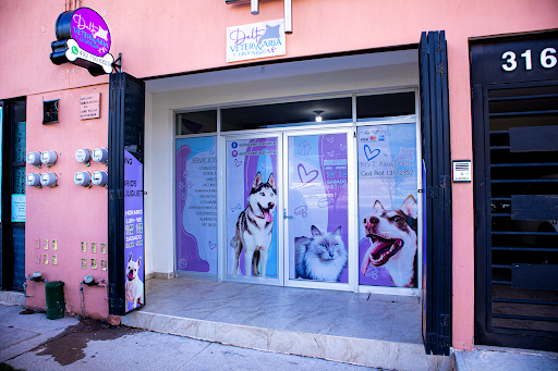 Delta Veterinaria & Grooming