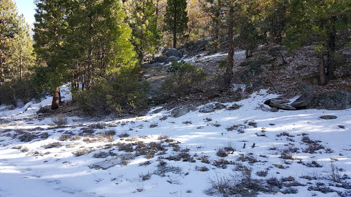 R-Ranch RV Park Gallery - United States