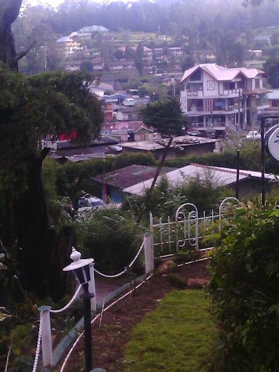 Photos of Serene Bungalow