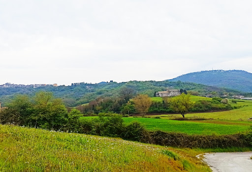 Calciolandia Gavignano - calciotto, calcetto - Thumbnail