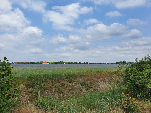 Ermler Immobilien - Thumbnail