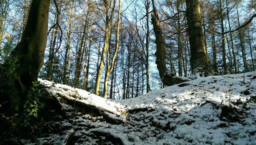 Haslemere - Thumbnail