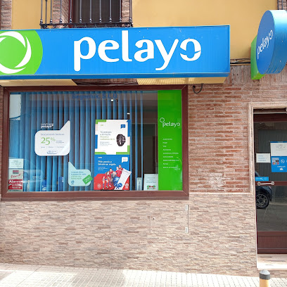 Oficina Seguros Pelayo