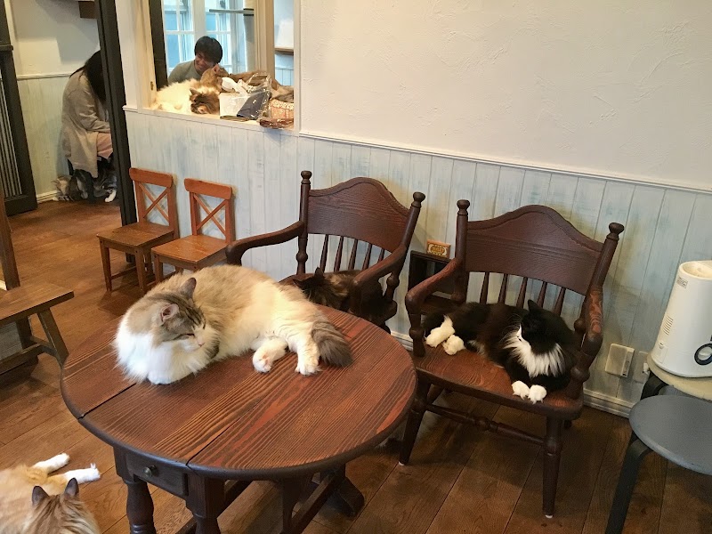 猫カフェ リエン Cat Cafe Rien 東京都世田谷区桜新町 カフェ 喫茶 カフェ グルコミ