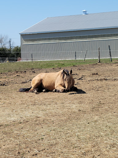 Green Mountain Stables, LLC - Thumbnail