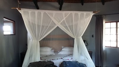 Photos of Motswari Private Game Lodge