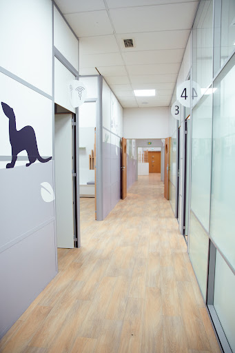 Clinique Vétérinaire du VAL D'EUROPE - URGENCES VETERINAIRES 77 - 7j/7 de 8h à Minuit Gallery - France
