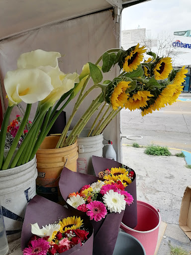 Venta de rosas - Visual
